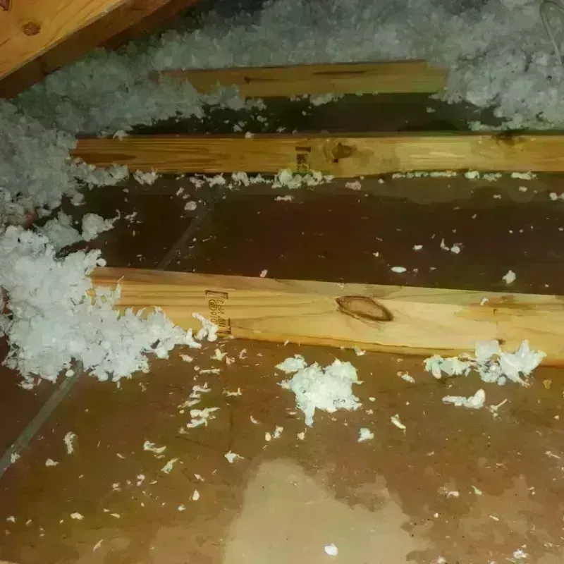 Attic Water Damage in Brookhaven, PA