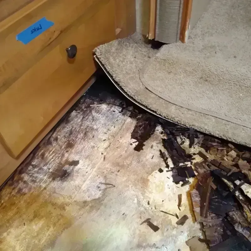 Wood Floor Water Damage in Brookhaven, PA